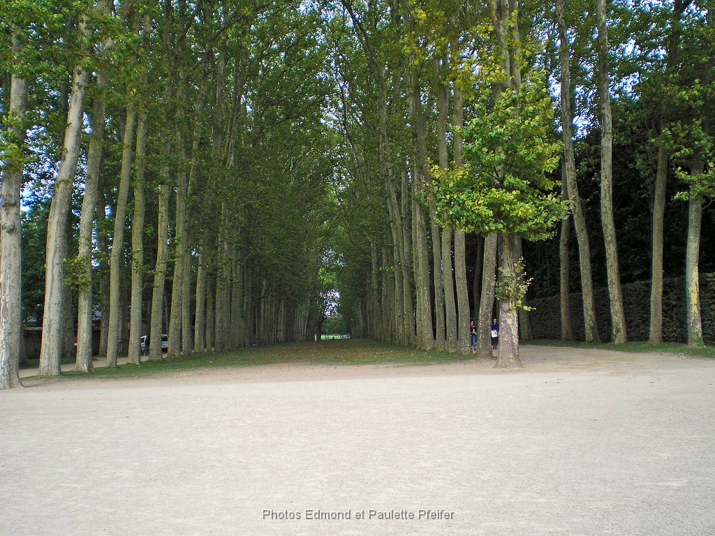 Versailles 5.jpg - Château de Versailles. Septembre 2013.         